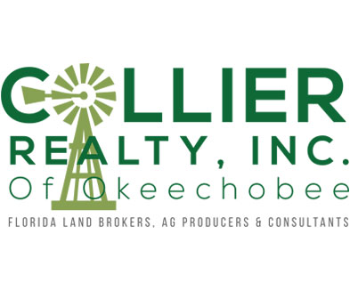 COLLIER REALTY INC