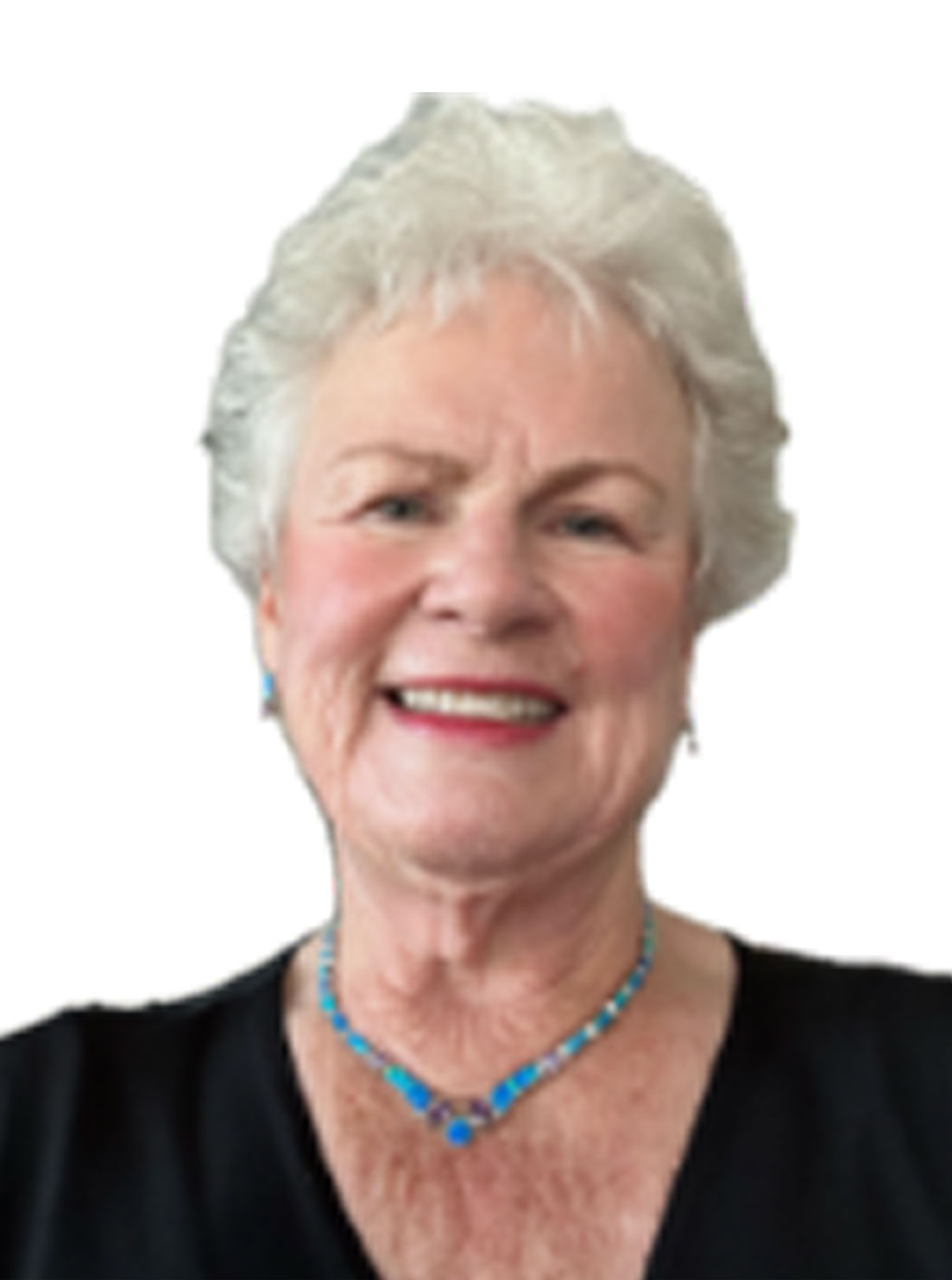 Association Executive Judy Noel